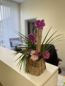 orchidée fleurissement pour profesionnels